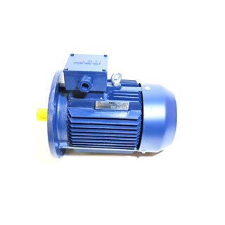 MEB 3~Motor TF100 L-2   3kW  2860 rpm