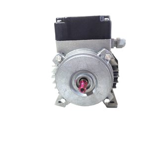 DUTCHI Motors 56/2 1~Motor 0,12 KW 2700 rpm -OVP/unused-