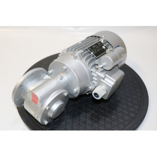 RGM 1~Motor Typ M 71A4 0,25kW +Getriebe SN9FLV i=7 -Gebraucht/Used