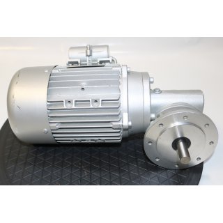 RGM 1~Motor Typ M 71A4 0,25kW +Getriebe SN9FLV i=7 -Gebraucht/Used