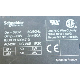 Schneider Electric DF141V 14*51